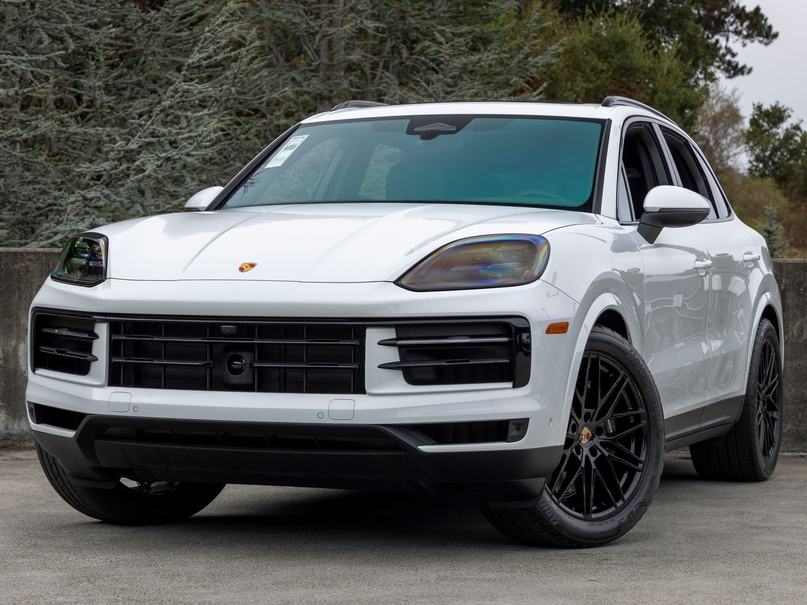 2026 Porsche Cayenne Cayenne