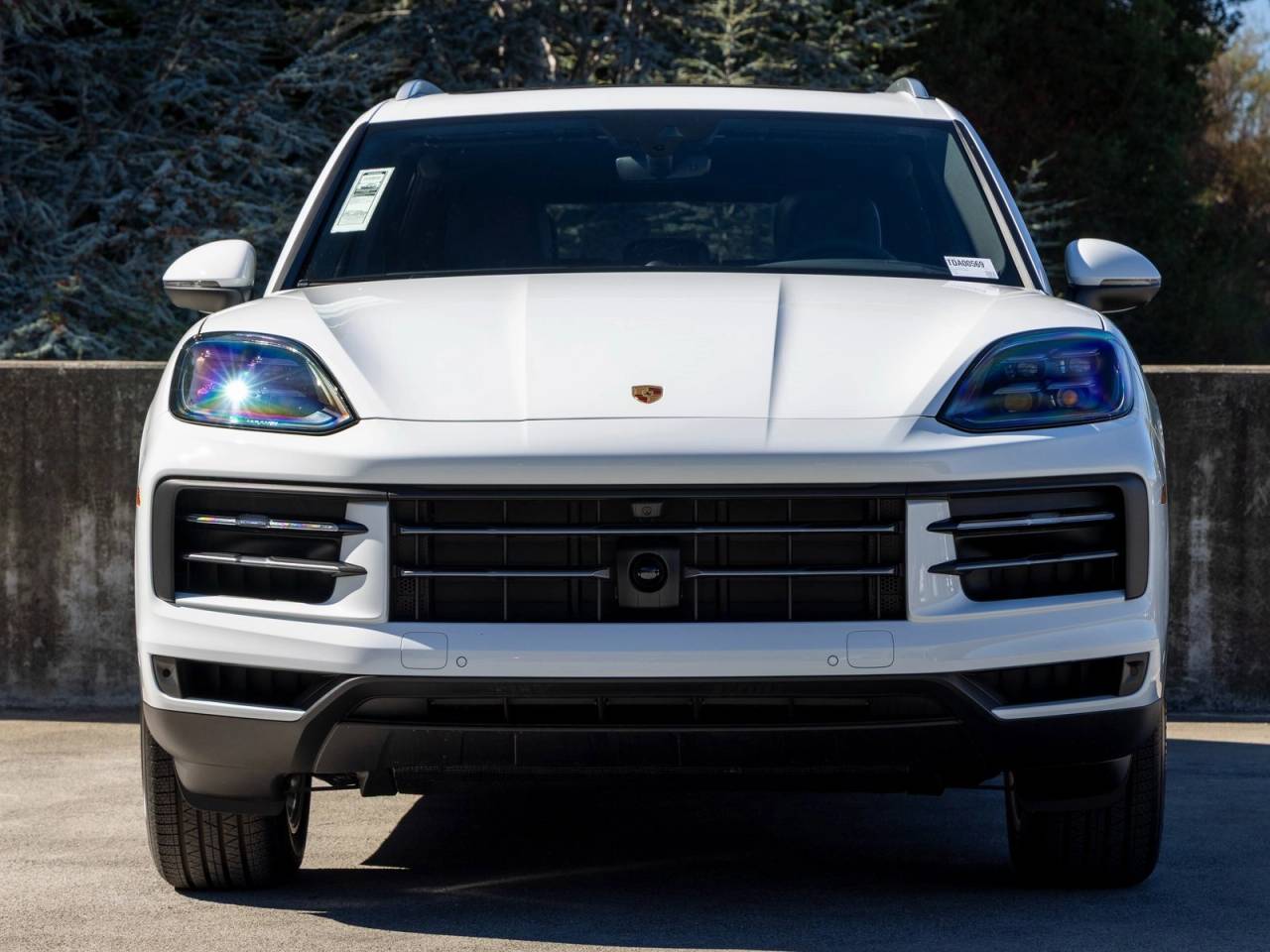 2026 Porsche Cayenne Cayenne