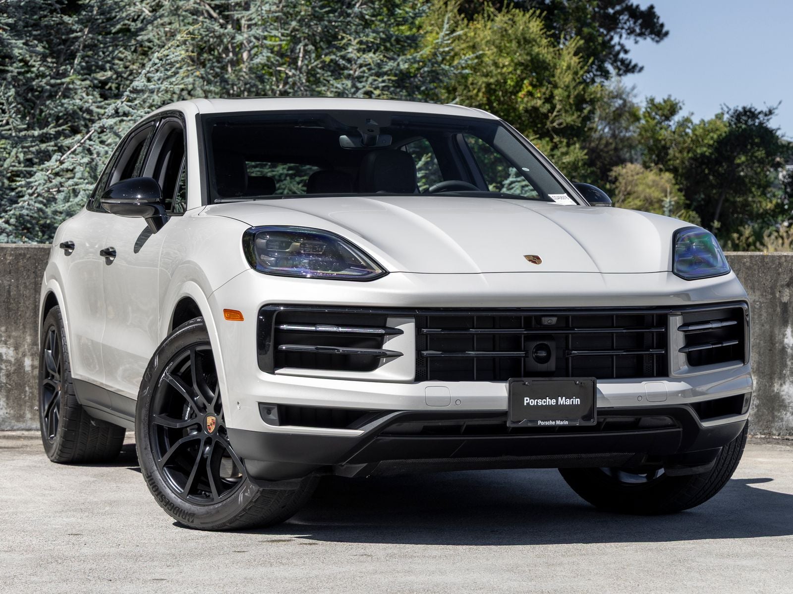 2025 Porsche Cayenne Cayenne