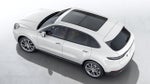 2022 Porsche Cayenne Cayenne Platinum Edition