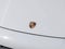 2023 Porsche Cayenne E-Hybrid Platinum Edition