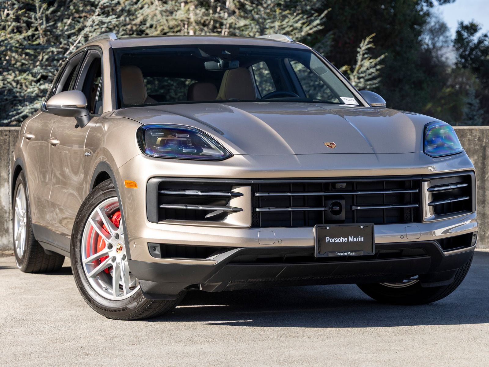 2025 Porsche Cayenne Cayenne S E-Hybrid