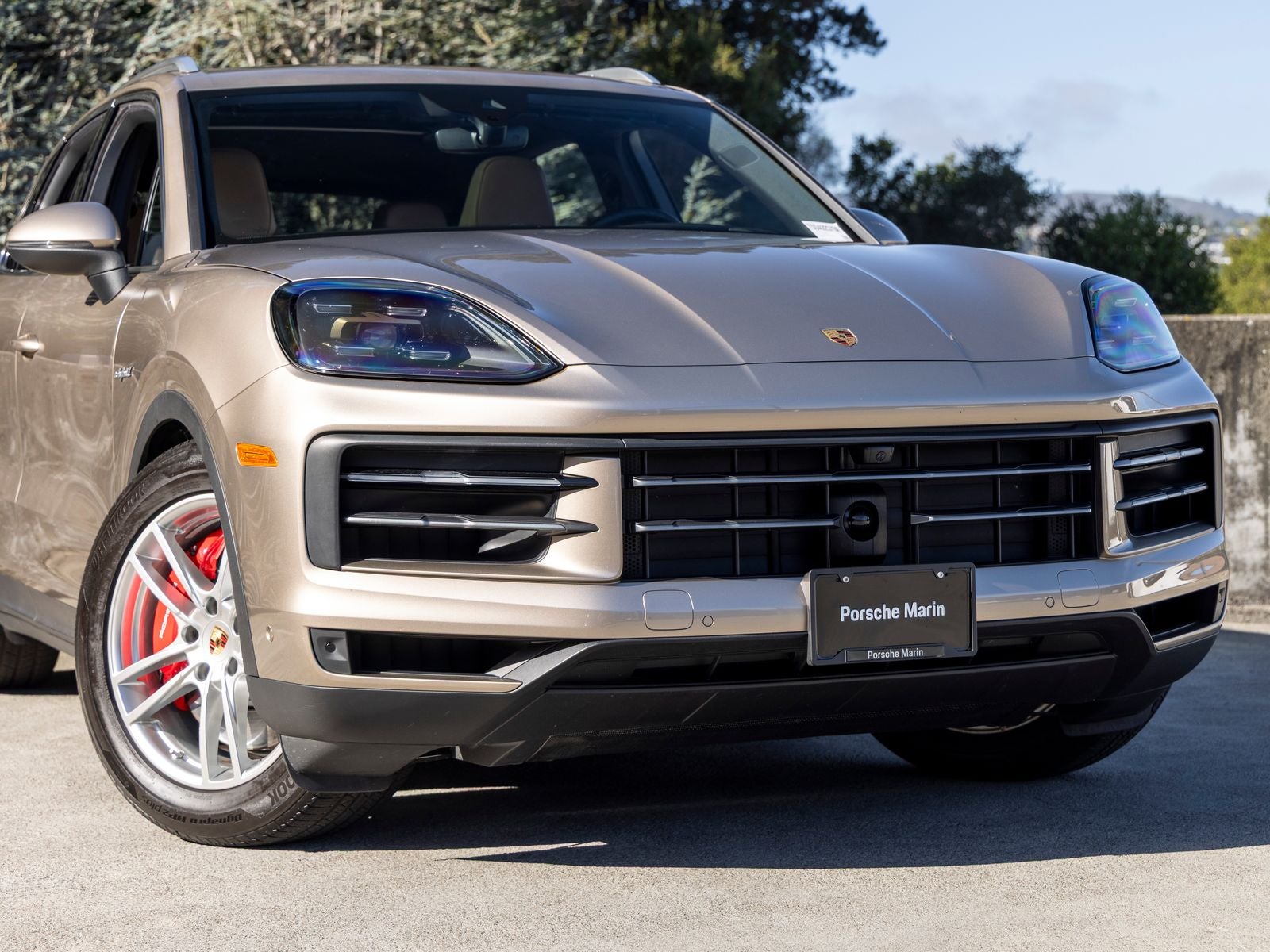 2025 Porsche Cayenne Cayenne S E-Hybrid